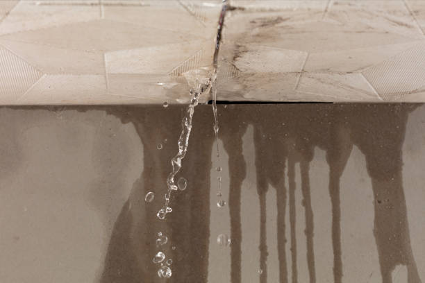 Professional Structural Drying technician working in Eddington, ME